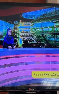 تلویزیون