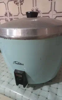 پلوپز ژاپنی دوکاره