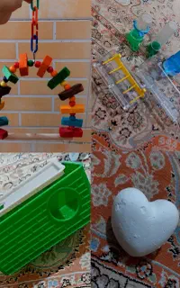 وسایل قفس پرنده