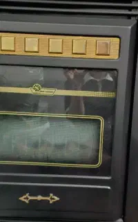 بخاری سالم ایران شرق