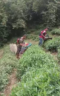 ۴ شهریور حرکت خانم و اقا ترکیه چای چینی