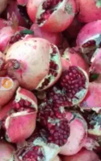 خریدار انار شکسته وخطی شیرین