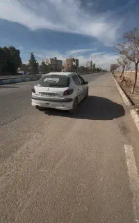 ۲۰۶ مدل
