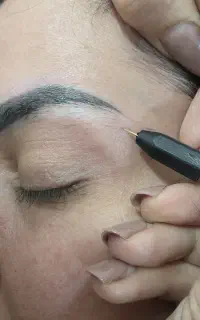 الکترو لیز، خالبرداری