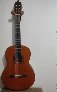 گیتار کوردوبا cp110 سدار سالید
