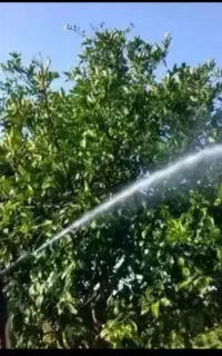 خدمات باغبانی و  فضای سبز(خانه ،باغ،ویلا)