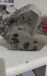 سنگ شجر
