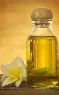 استخدام ماسیس روزمزد