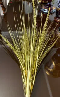 گل تزیینی