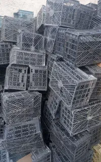 سبد ..سبد میوه