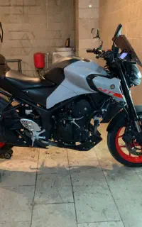 Mt25