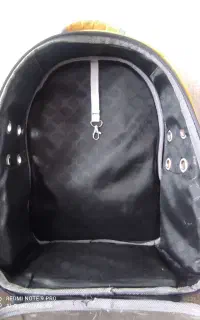 باکس گربه