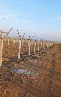 جوشکاری وسبک سازی سایبان و قیمه انگوروخرده کاری