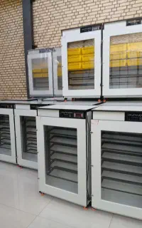 دستگاه ـ جوجه کشی ـ بوقلمون مرغـ و۰۰۰ vrqw++