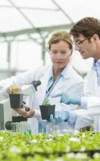 استخدام گیاهپزشک