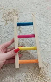 قفس با وسایل بازی