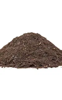 کود گوسفند