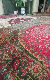 فرش شش متری رایگان داد میشود