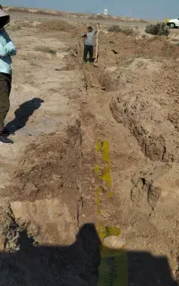 استخدام سرپرست کارگاه پروژه مخابراتی فیبر نوری