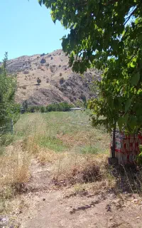 سرکارگر انجام تخصصی امور کشاورزی و باغبانی