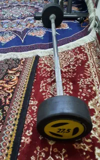 هالترباربل نو