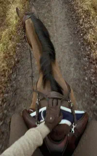 نیازمند نیروی کار جوان در باشگاه سوارکاری