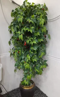 درخت مصنوعی گیلاس