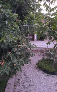 سوئیت باغ اجاره‌ای
