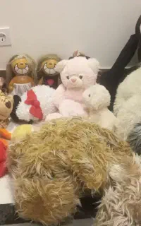 تعدادی اسباب بازی و عروسک در حد