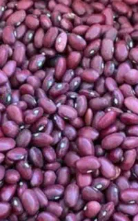 لوبیا قرمز