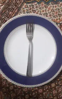 بشقاب های تخت چینی دونه ای ۵۰۰