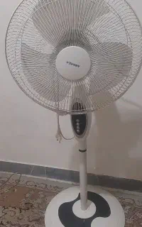 پنگه پایه بلند  وپایه کوتاه  زمینی