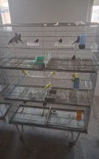قفس حرفه