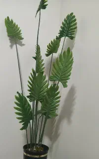 درختچه