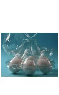 ظرف شانه تخم مرغی ۶ تایی صدفی