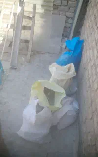 کود کبوتر