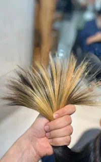 موخوره گیری روسی قیمت استثنایی کاملا تضمینی