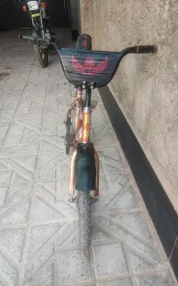دوچرخه ۱۶