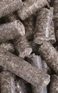 فروش حواله تفاله چغندر