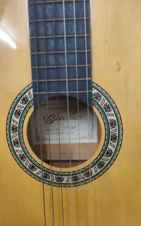 سلام گیتار سالم با کیفش به فروش میرسه