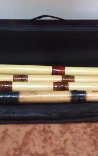 نوازندگی نی در مجالس