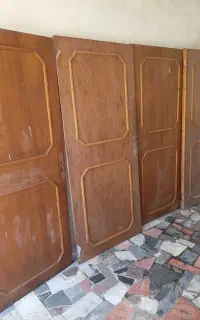 درنرادبزرگ اصل۴عددباهم دوتیکه ای*زیرقیمت*