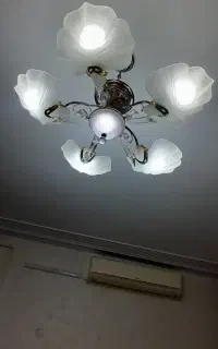 لوستر