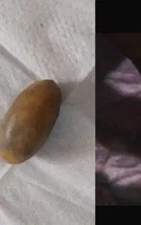 حر مهرءگ