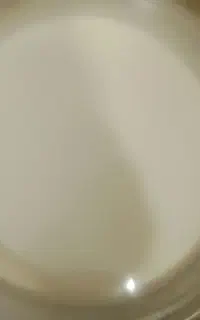 فروش شیر دوغ محلی. گاو