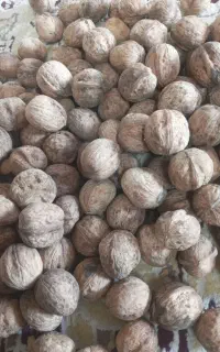 گردو محلی بوانات سرحد