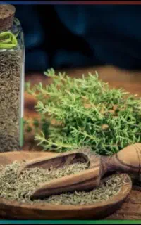 کار برای بانوان با انگیزه با گوشی درمنزل