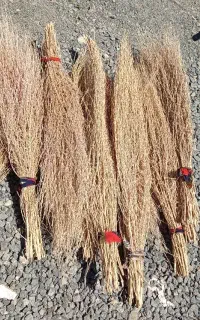 جارو دسی