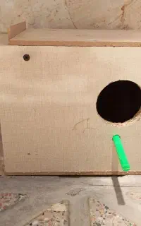 لانه