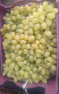 انگور تازه
